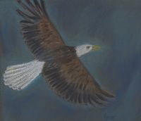 Free Spirit